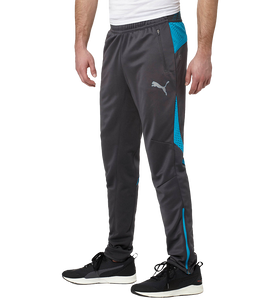 Flicker Mens Training Pants